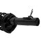 00-05 Ford Focus (exc SVT) Front Strut & Spring Assembly LF