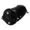 00-05 Ford Focus (exc SVT) Front Strut & Spring Assembly LF