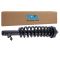 Strut & Spring Assembly