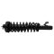 92-95 Honda Civic Front Strut & Spring Assembly RF