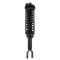 96-00 Honda Civic; 97-00 Acura EL Rear Strut & Spring Assembly LR = RR
