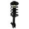 95-99 Nissan Maxima; 96-99 Infiniti I30 Front Strut & Spring Assembly LF