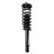 Strut & Spring Assembly