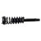 Strut & Spring Assembly