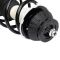 Strut & Spring Assembly
