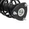 Strut & Spring Assembly