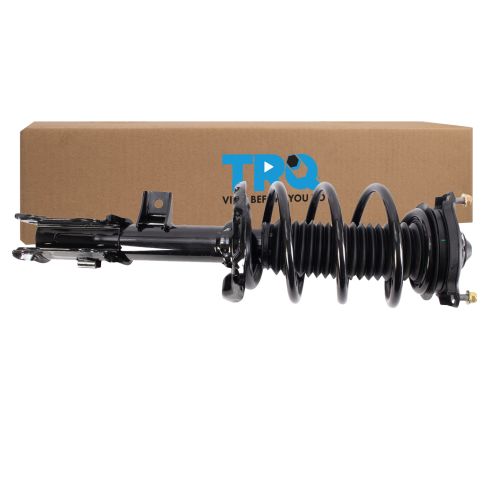 Strut & Spring Assembly