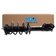 Strut & Spring Assembly