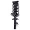 Strut & Spring Assembly