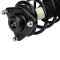 Strut & Spring Assembly