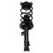 Strut & Spring Assembly