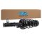 Strut & Spring Assembly