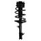 Strut & Spring Assembly