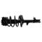 Strut & Spring Assembly