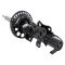 Strut Assembly