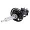 Strut Assembly