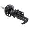 Strut Assembly