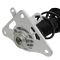 Strut & Spring Assembly