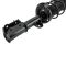 Strut & Spring Assembly