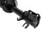 Strut & Spring Assembly