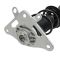 Strut & Spring Assembly