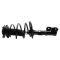 Strut & Spring Assembly