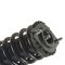 00-04 Subaru Outback Rear Strut & Spring Assembly LR=RR