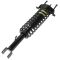 01-06 Chrysler Sebring Convertible Rear Strut Assembly LR = RR