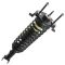 01-06 Chrysler Sebring Convertible Rear Strut Assembly LR = RR