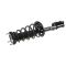 99-03 Lexus RX300 Rear Strut & Spring Assy RR