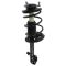 Strut & Spring Assembly