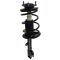 Strut & Spring Assembly