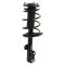 06-08 Toyota Rav4 Base & Limited (w/2.4L & (w/3.5L w/Steel Wheel)) Front Strut & Spring Assembly LF