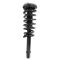 99-03 Acura TL Front Strut & Spring  Assembly LF