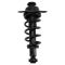 Strut & Spring Assembly