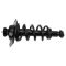 Strut & Spring Assembly
