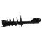Strut & Spring Assembly