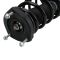 Strut & Spring Assembly