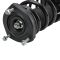 Strut & Spring Assembly