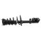 Strut & Spring Assembly