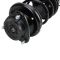 Strut & Spring Assembly