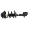 Strut & Spring Assembly