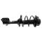 Strut & Spring Assembly