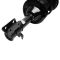 Strut & Spring Assembly