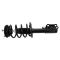 Strut & Spring Assembly
