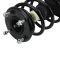 Strut & Spring Assembly