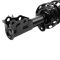 Strut & Spring Assembly