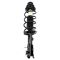 Strut & Spring Assembly