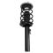 Strut & Spring Assembly