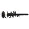 Strut & Spring Assembly